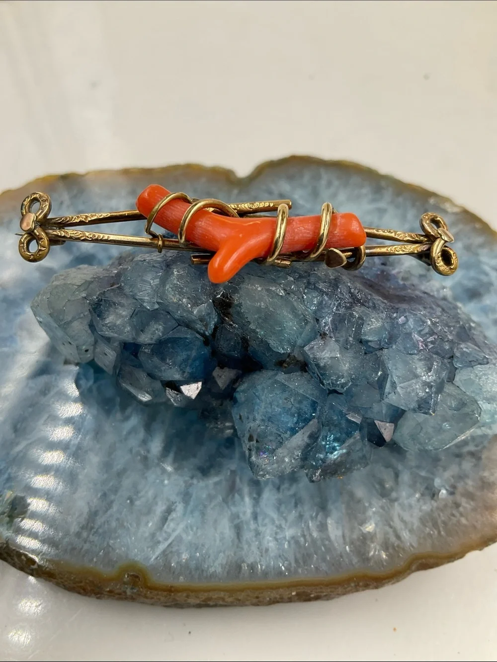 Vtg. 1880’s Victorian Red Branch Coral Affixed To A Gold Filled Ornate Brooch